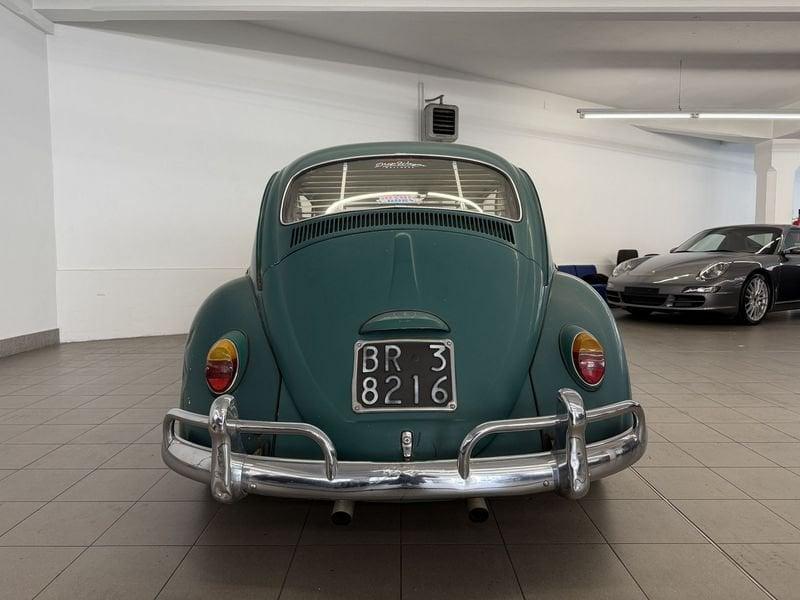 Volkswagen Maggiolino