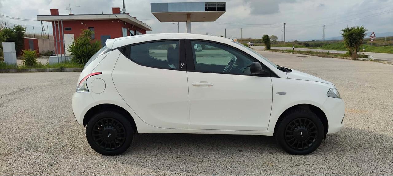 Lancia Ypsilon 0.9 TwinAir 85 CV 5 porte Metano Ecochic Elefantino