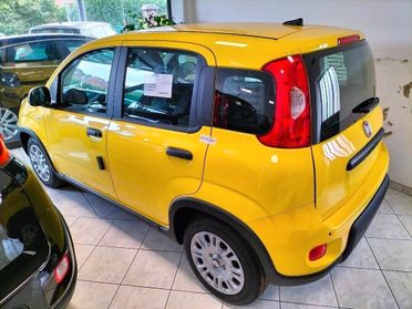 Fiat Panda Pandina 1.0 65 CV Hybrid POP FINANZ.+ ROTT.
