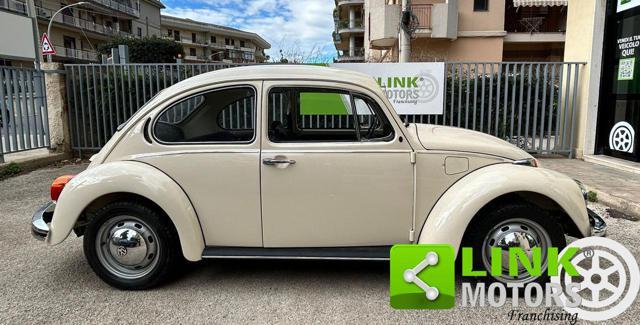 VOLKSWAGEN Maggiolino 11/D11