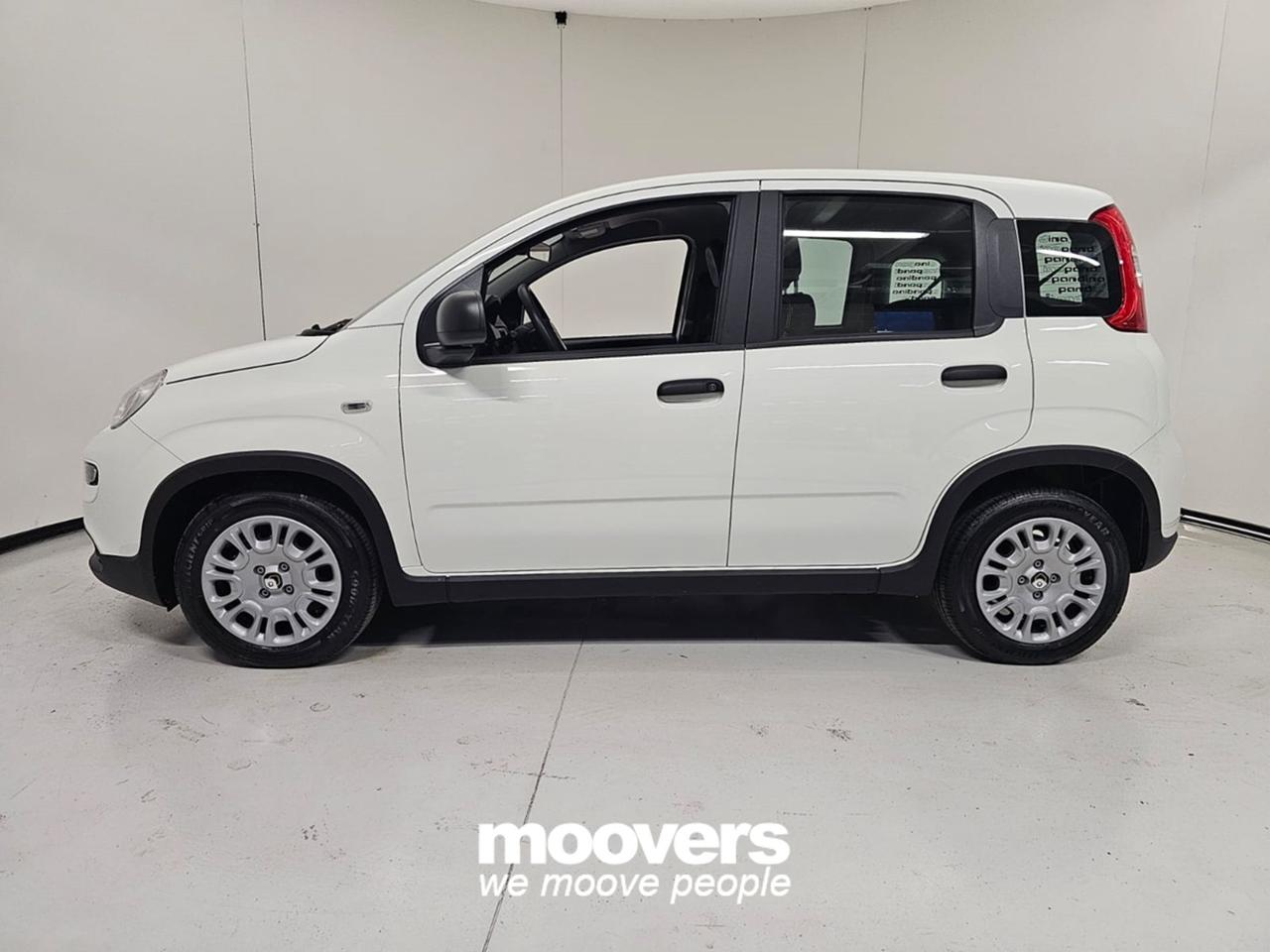 FIAT Panda 3ª serie 1.0 FireFly S&S Hybrid PANDINA