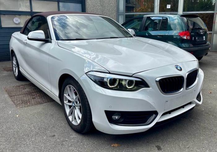 Bmw 218i Cabrio STEPTRONIC INTERNI IN PELLE MARRONE FULL LED