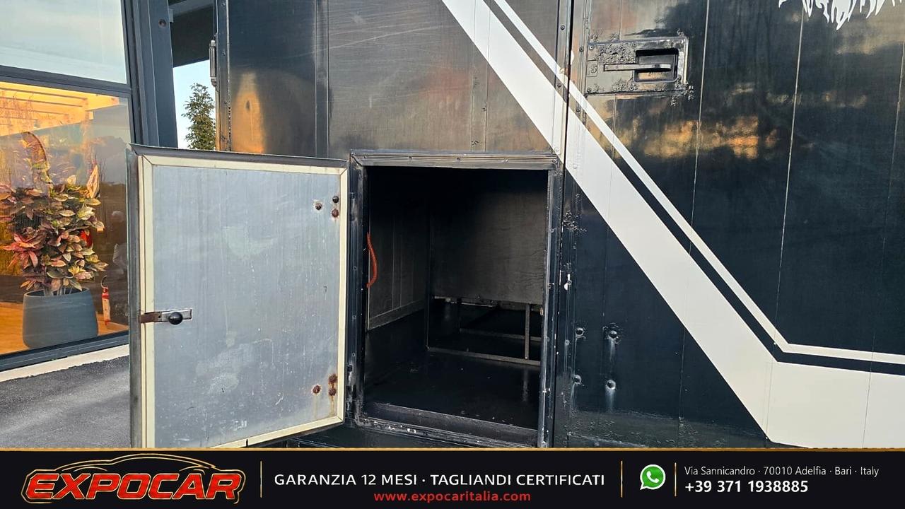 Iveco Daily - Trasporto Cavalli