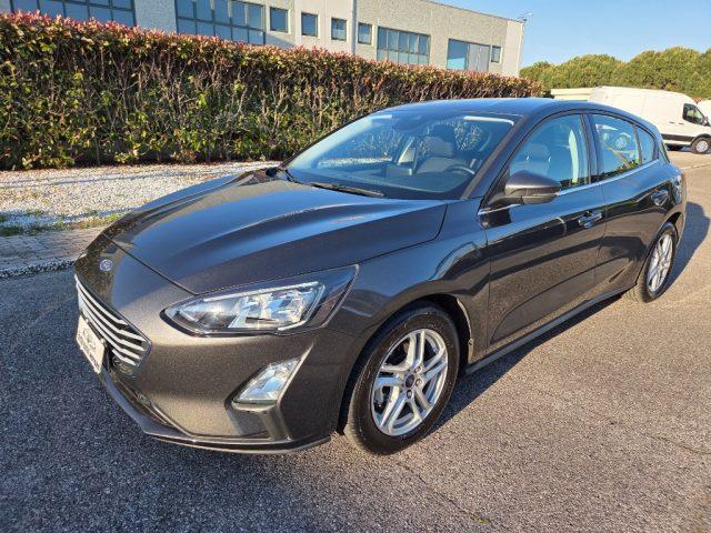 FORD Focus 1.5 EcoBlue 120 CV 5p. Business