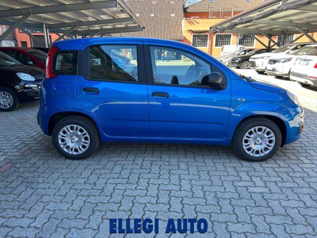 FIAT Panda PROMO FINANZ 1.0 HYBRID +PACK ICON KM 0