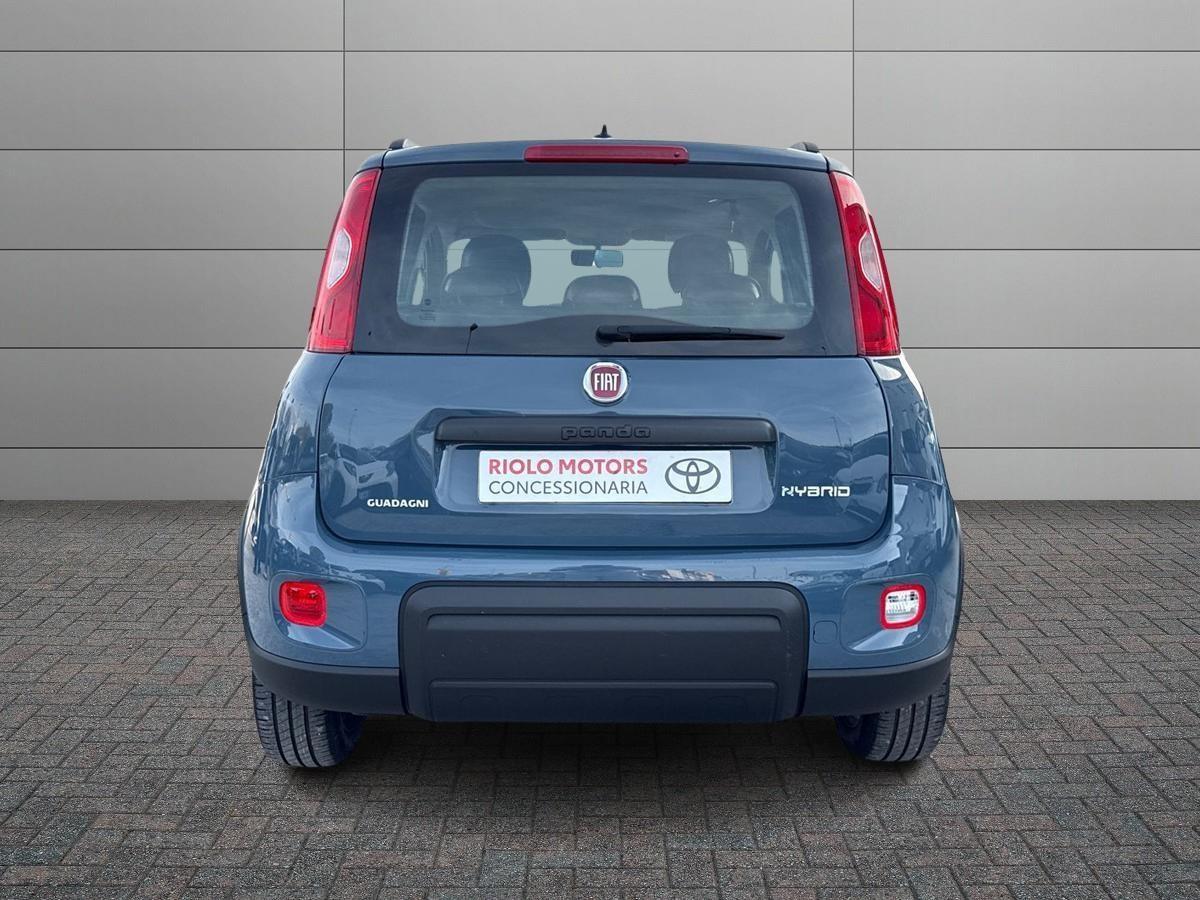FIAT Panda III 2021 - Panda 1.0 firefly hybrid s&s 70cv