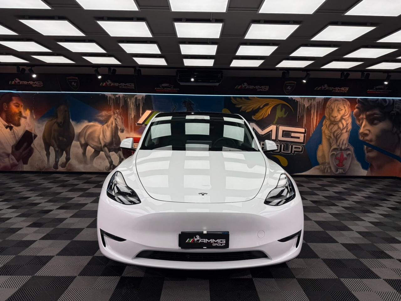 Tesla Model Y Long Range AWD (349)
