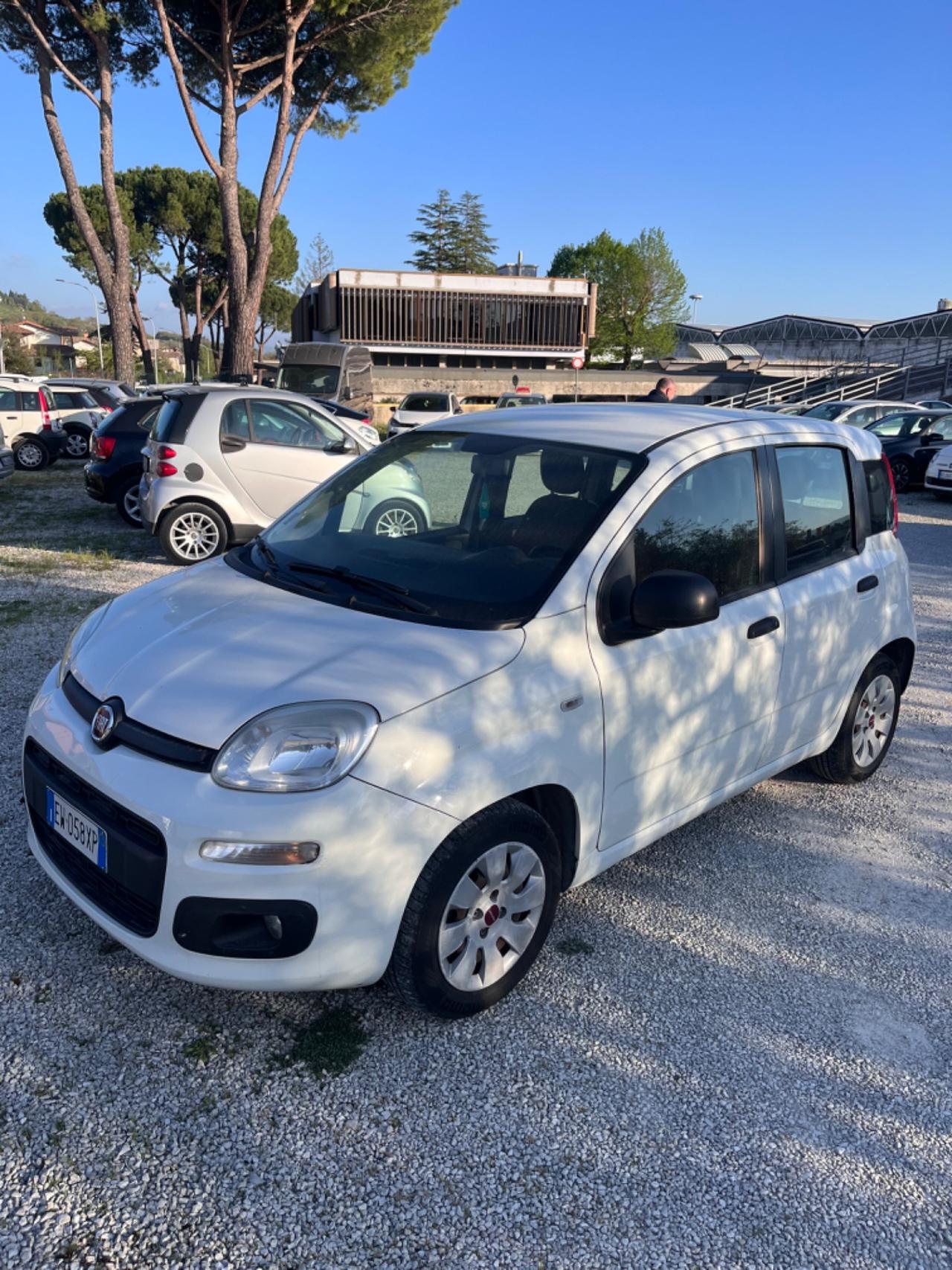 Fiat Panda 1.3 Multijet 75 cv Lounge PERFETTA