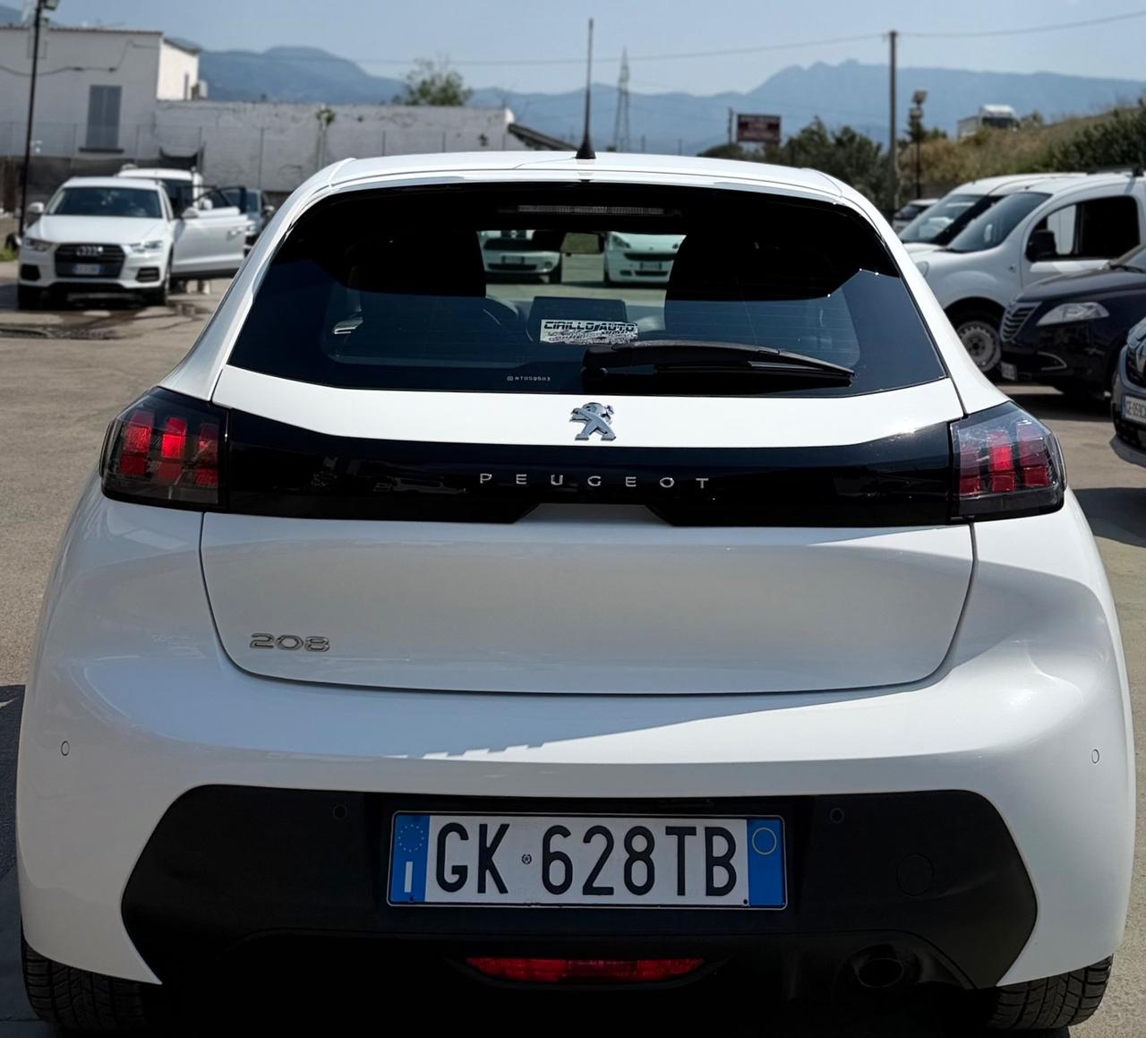 Peugeot 208 1.5 Diesel 100 Cv