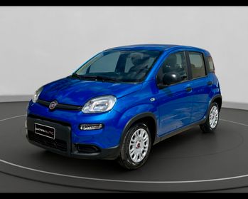 FIAT Panda My24 1.0 70cv Hybrid Panda