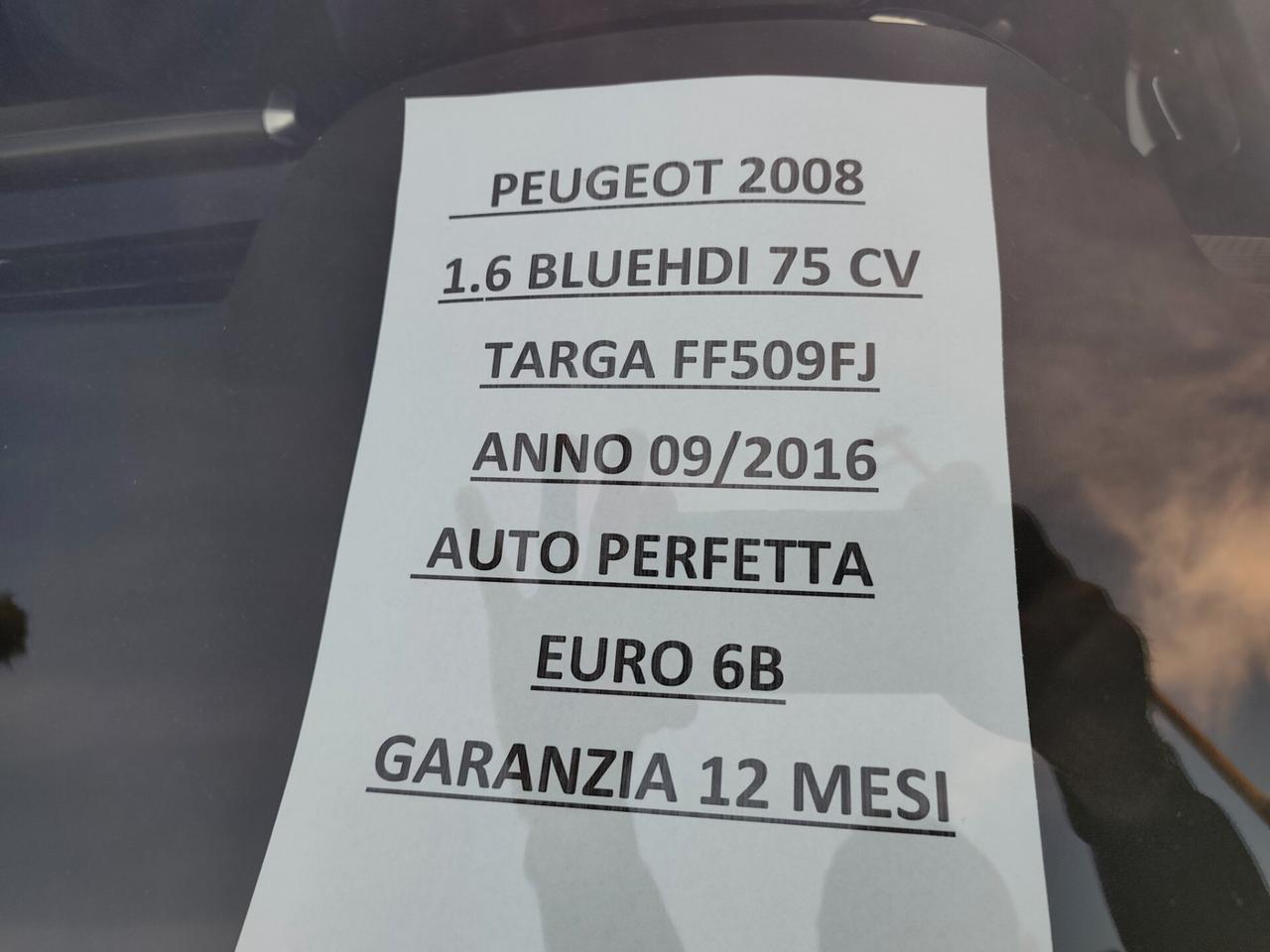 Peugeot 2008 1.6 BlueHDi EURO6