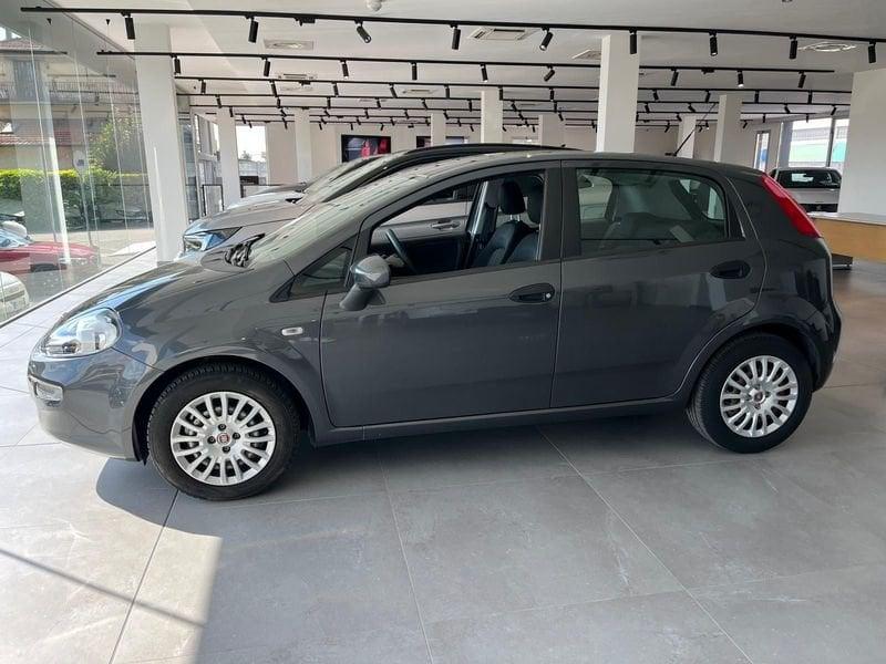 FIAT Punto Punto 1.2 8V 5 porte Street
