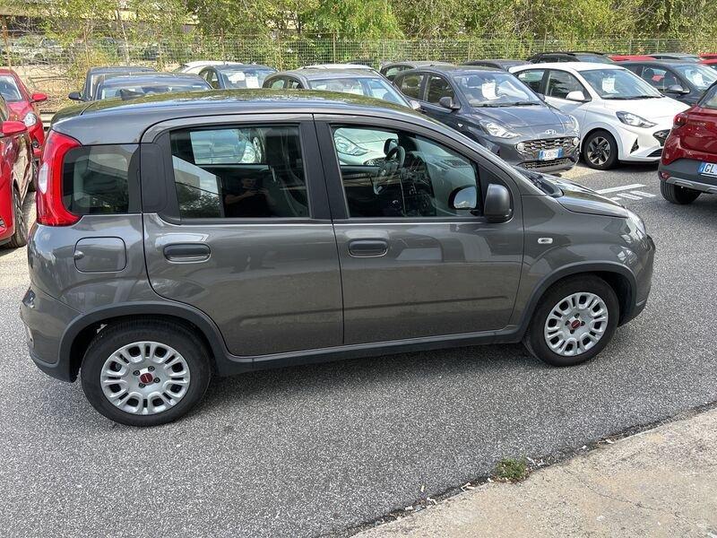 FIAT Panda New My23 1.0 70cv Hybrid Panda