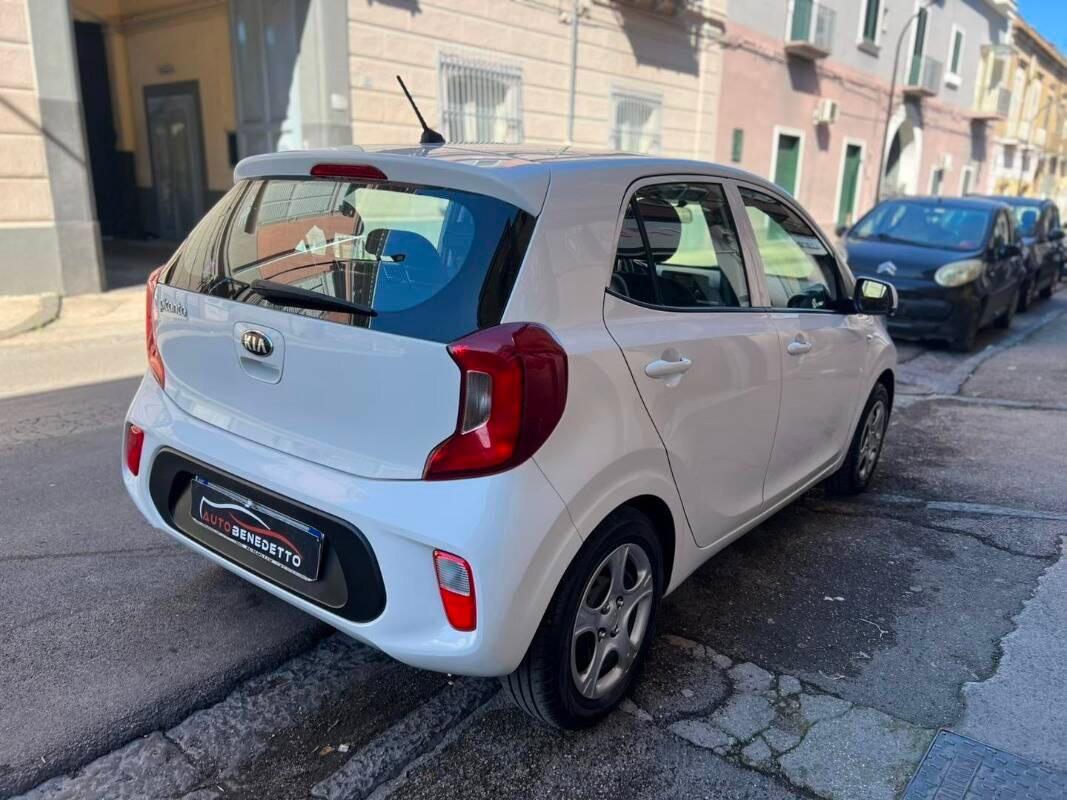 Kia Picanto 1.0 12V 5 porte Cool 2019