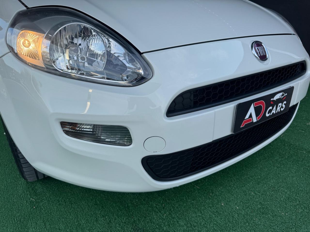 Fiat Punto 1.2 8V 5 porte Street