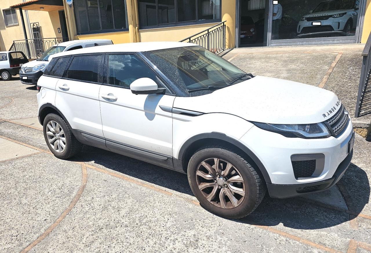 Range Rover EVOQUE 2.0 TD4 150 CV 5p. SE Dynamic