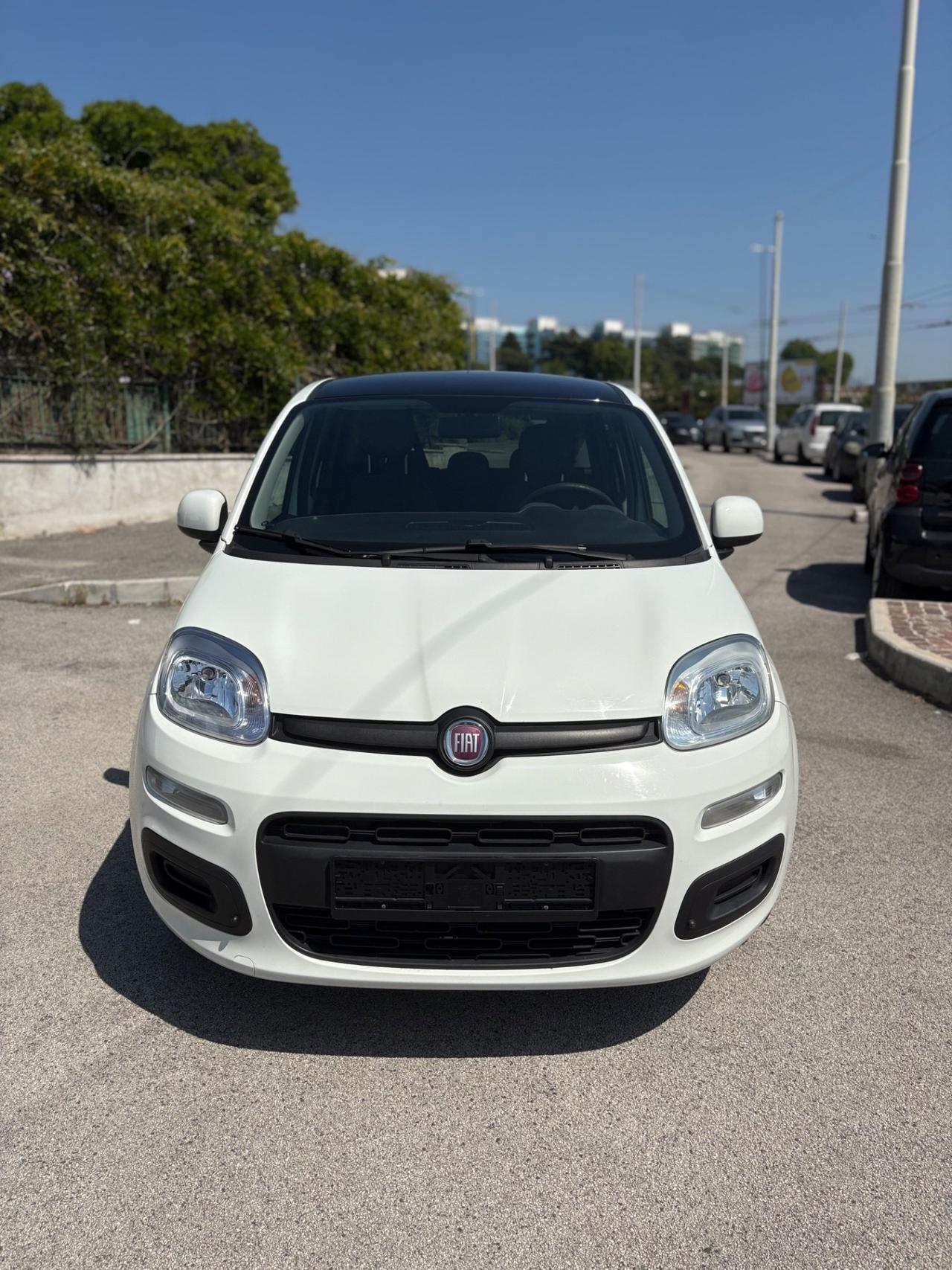 Fiat Panda 1.2 Benzina Young