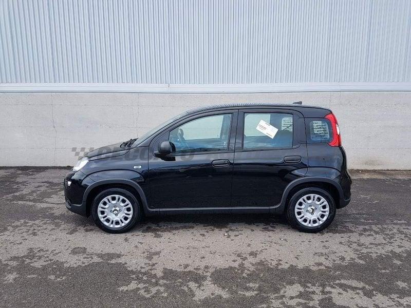 FIAT Panda 1.0 70cv Hybrid Panda