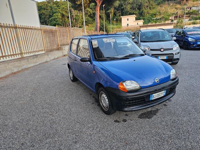 FIAT Seicento 900i cat Young