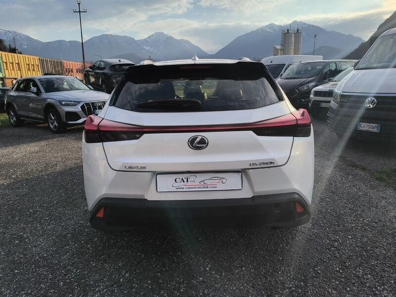 Lexus UX 250 H Hybrid 2 wd