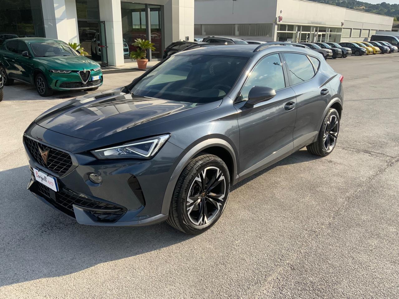 Cupra Formentor 2.0 TDI 4Drive DSG