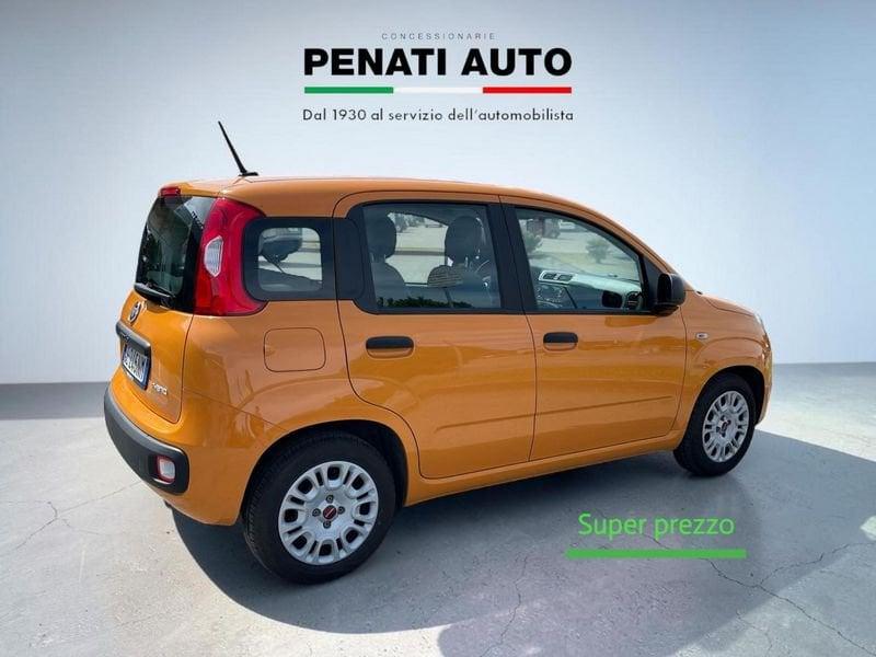 FIAT Panda 1.0 FireFly 70cv S&S Hybrid