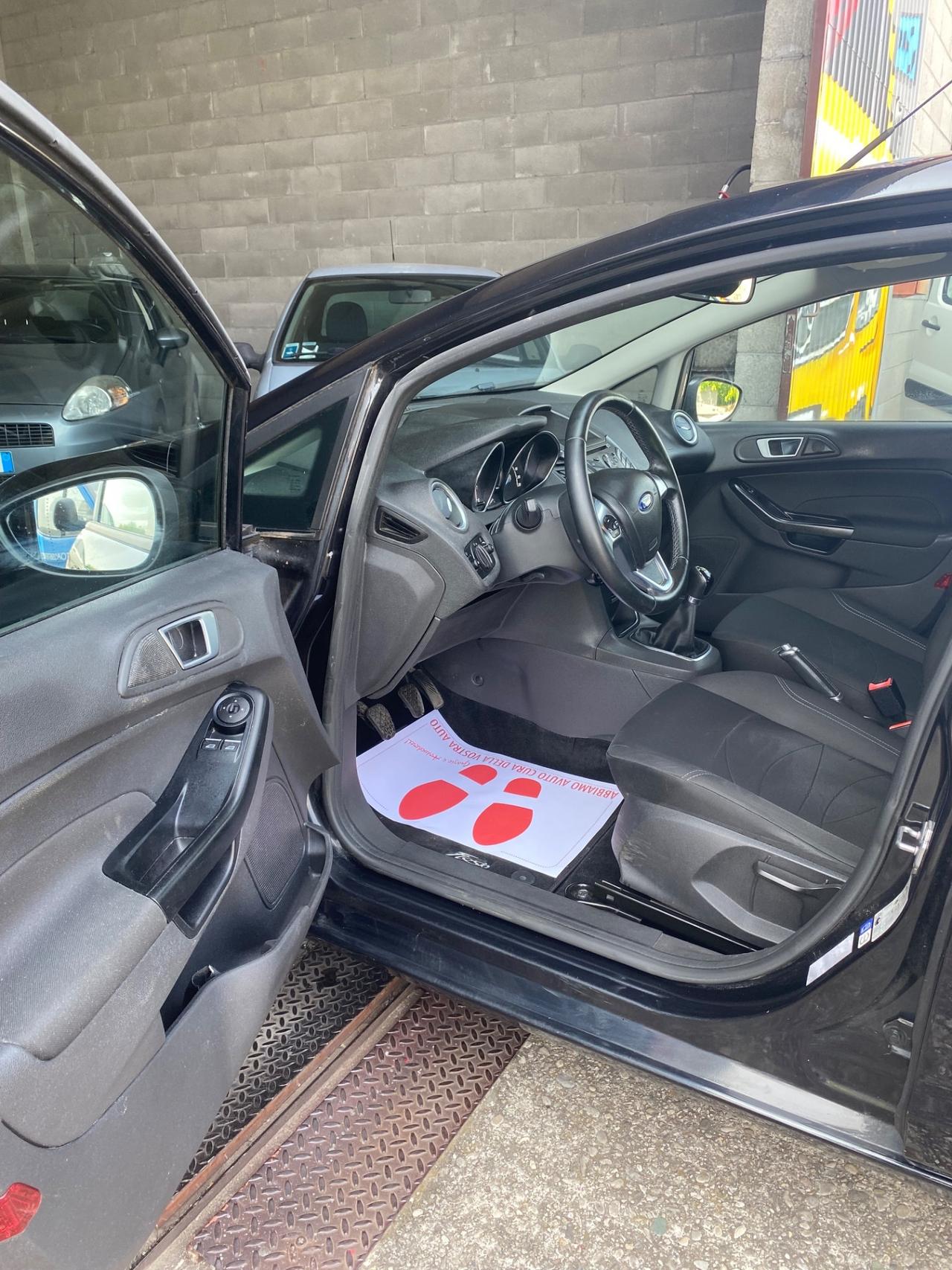 Ford Fiesta 1.4 5 porte Bz.- GPL Black & White Edition