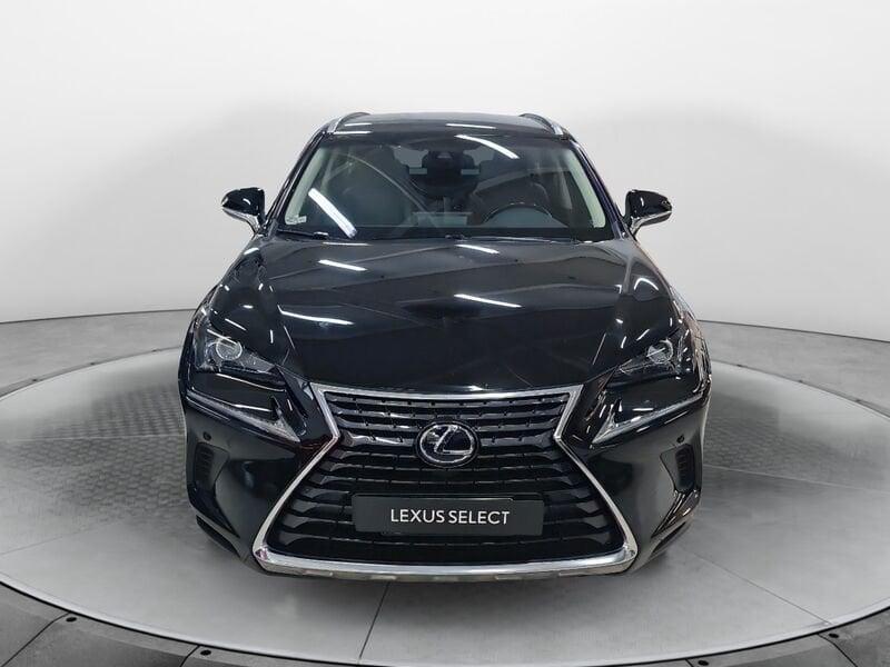 Lexus NX Hybrid 4WD Executive