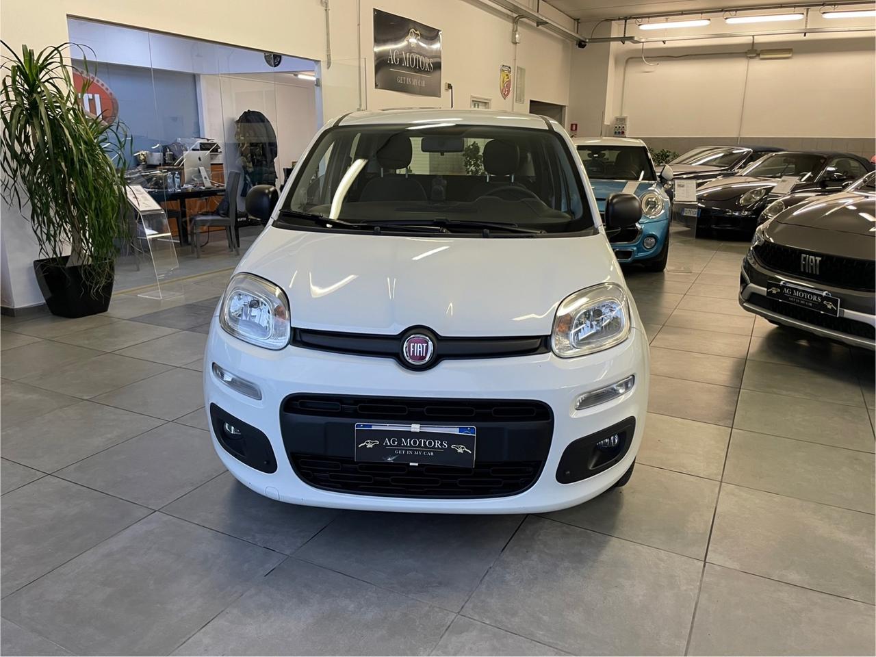 Fiat Panda 1.2 EasyPower GPL di serie,COME NUOVA