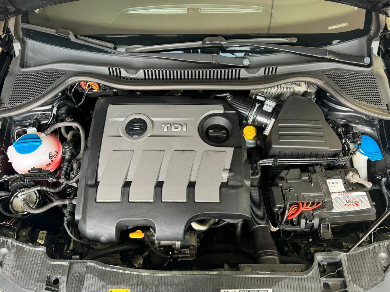 Seat Ibiza 1.6 TDI CR 5 porte FR EURO5