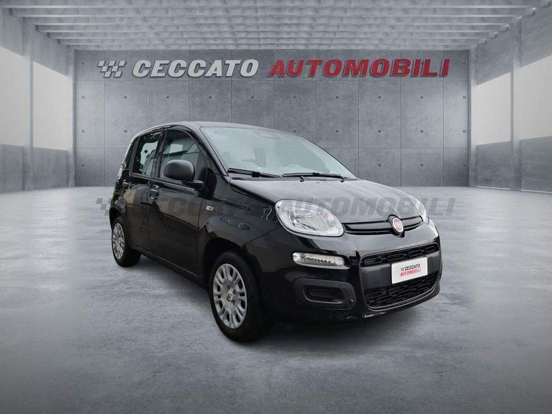 FIAT Panda Panda 1.0 firefly hybrid s&s 70cv
