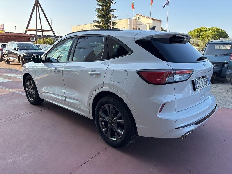 Ford Kuga Kuga 1.5 EcoBlue 120 CV aut. 2WD ST-Line