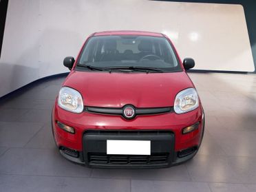 FIAT Panda My24 1.0 70cv Hybrid Panda