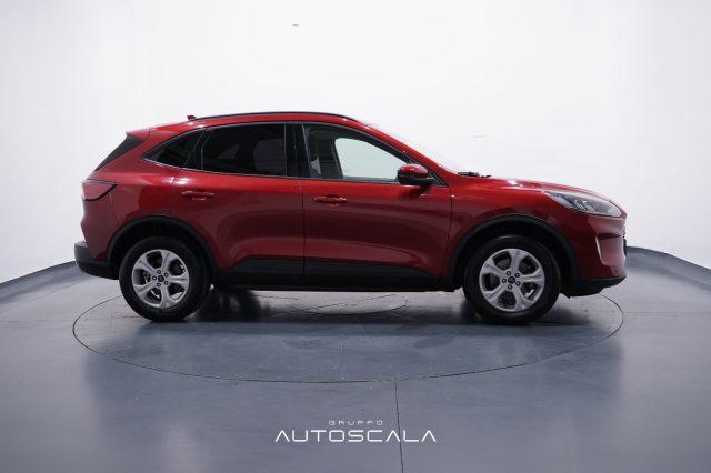 FORD Kuga 1.5 EcoBlue 120 CV 2WD Connect