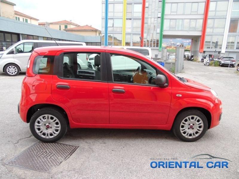 FIAT Panda Panda 1.2 IN OTTIME CONDIZIONI