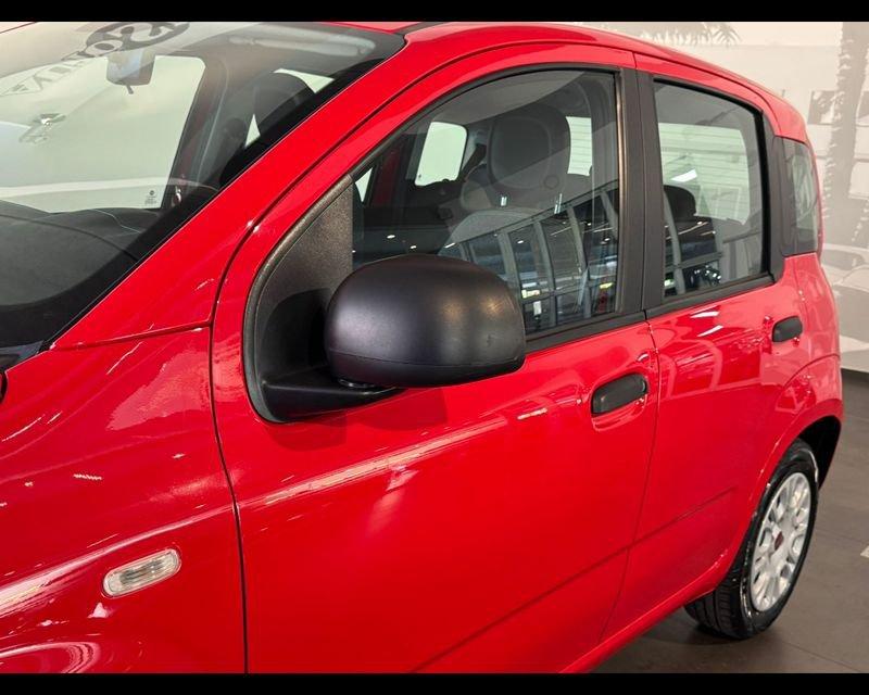 FIAT Panda 3ª serie 1.0 FireFly S&S Hybrid