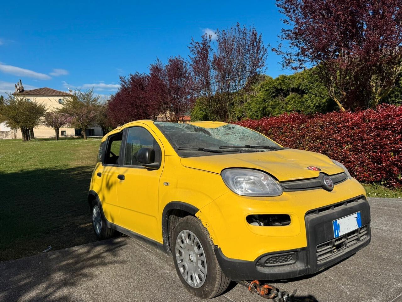 Fiat Panda 1.0 FireFly S&S Hybrid Pandina