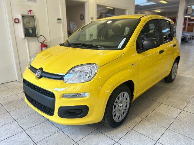 FIAT Panda 1.0 FireFly S&S Hybrid Icon