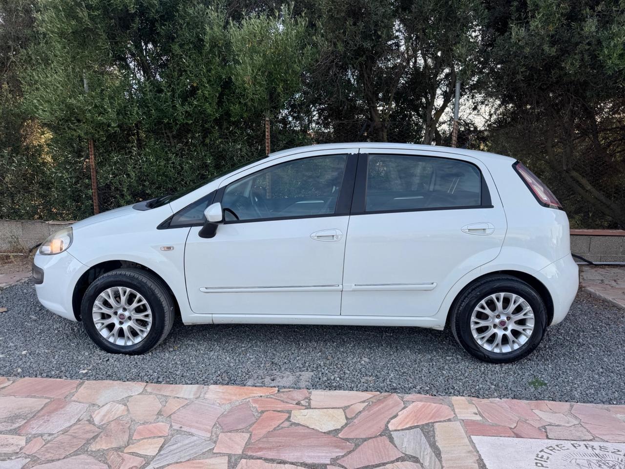 Fiat Punto Evo 1.4 5 porte Active GPL