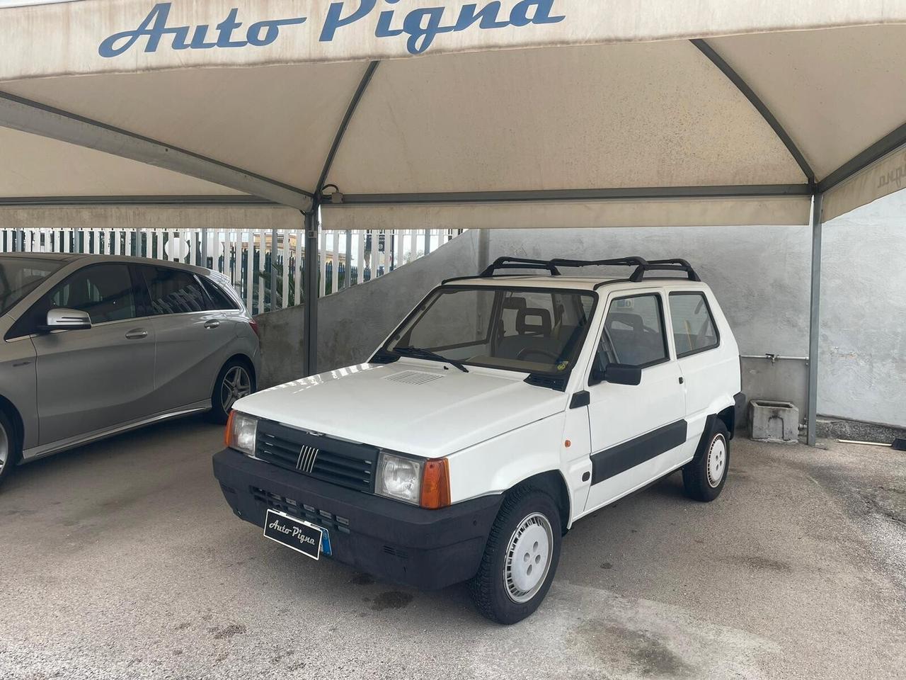 Fiat Panda 1100 i.e. cat Young
