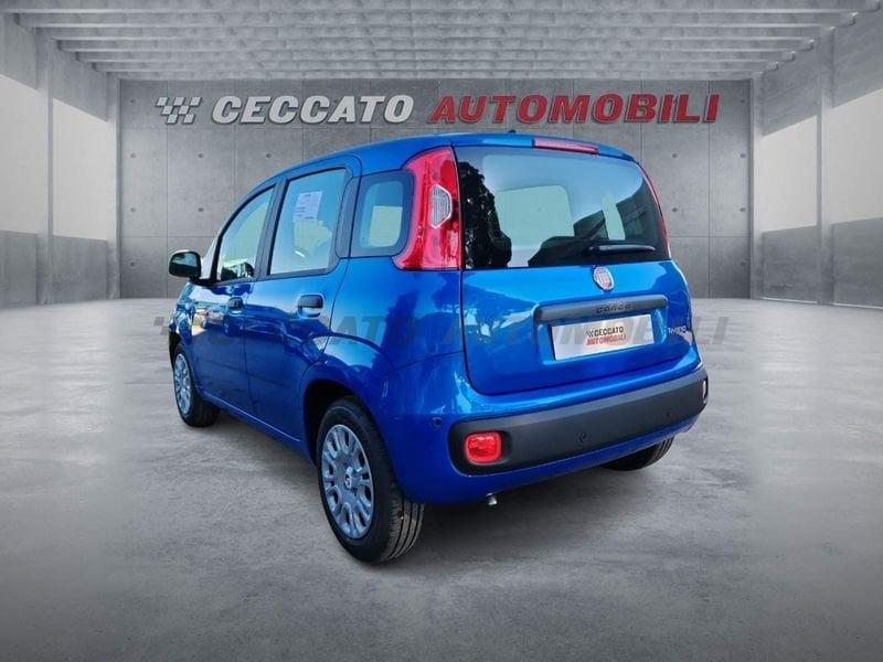 FIAT Panda Panda 1.0 firefly hybrid s&s 70cv