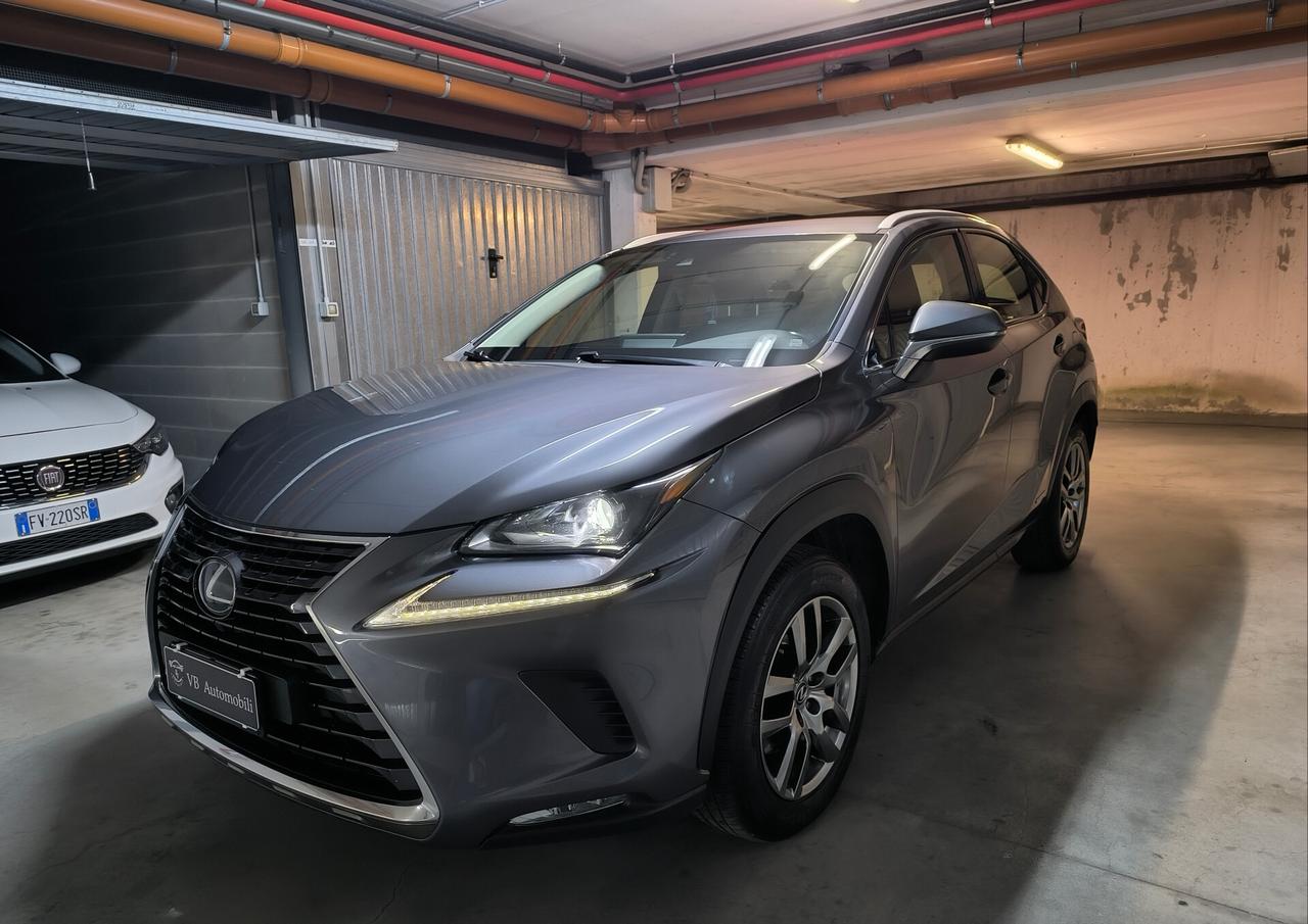 Lexus NX 300h Hybrid Business