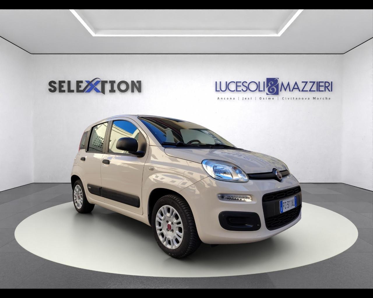 FIAT PANDA - Panda 1.2 Easy