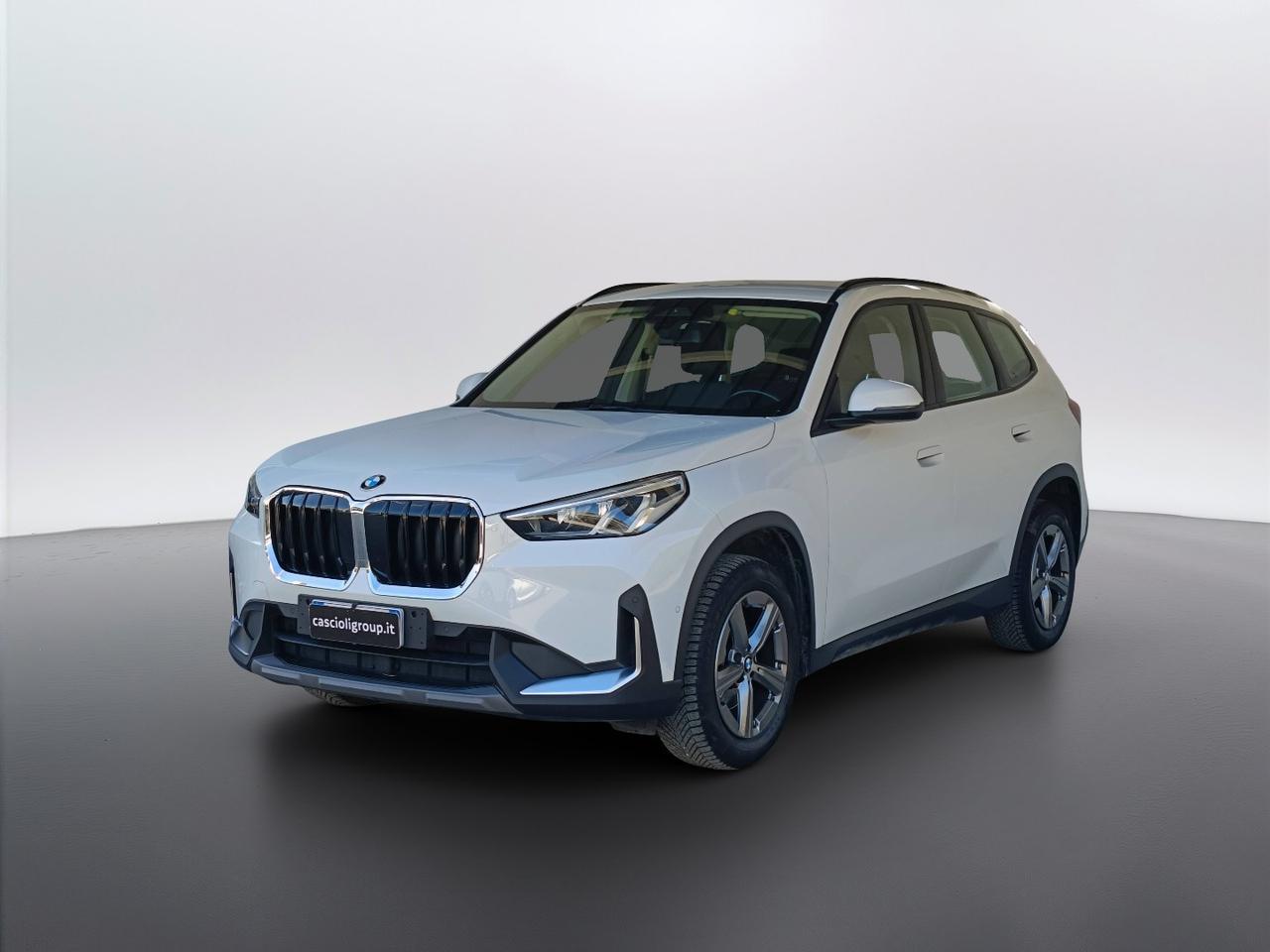 BMW X1 U11 - X1 sdrive18d X-Line auto