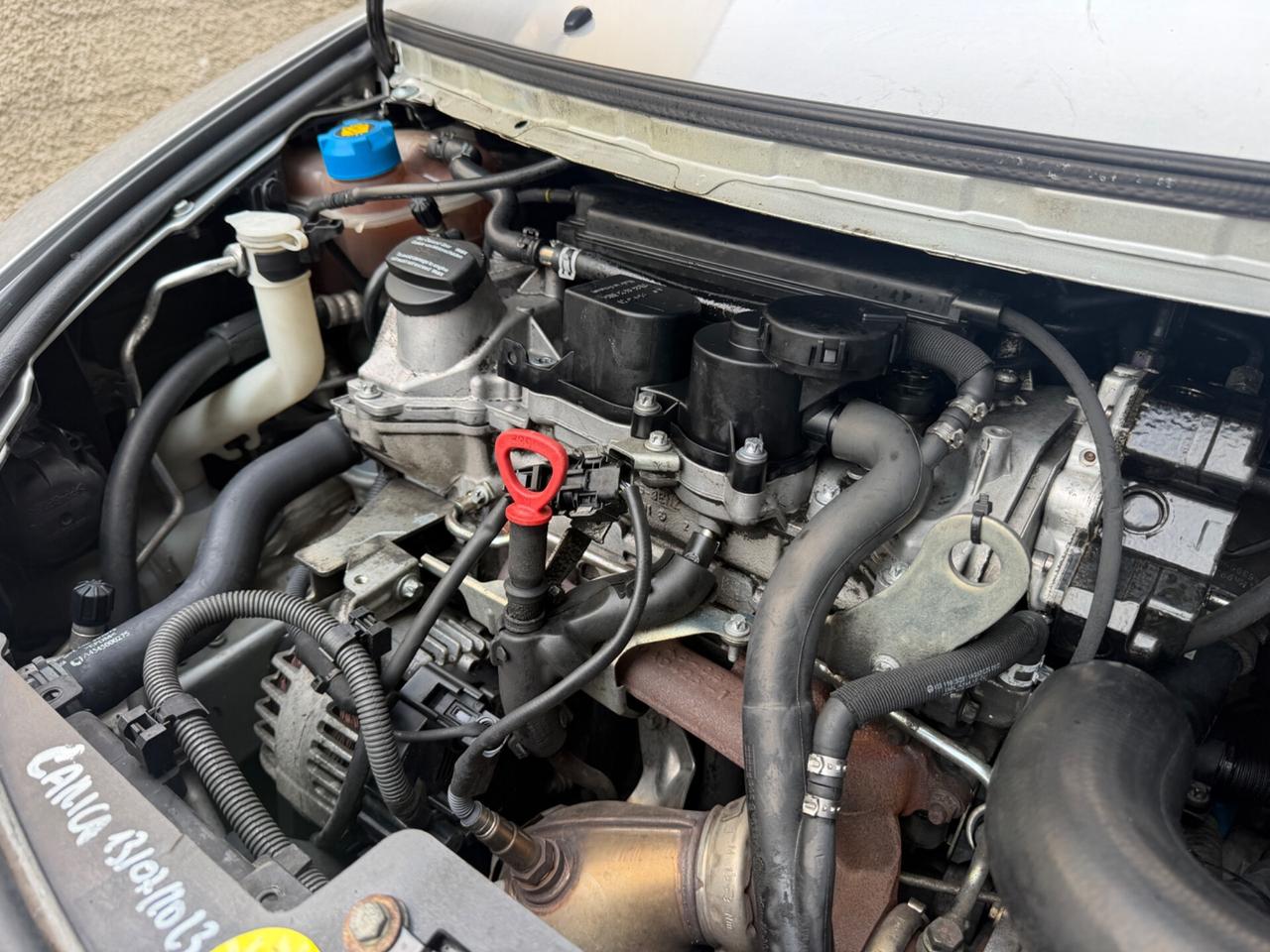 SMART FORFOUR 1.5DCI TETTO PANORAMICO