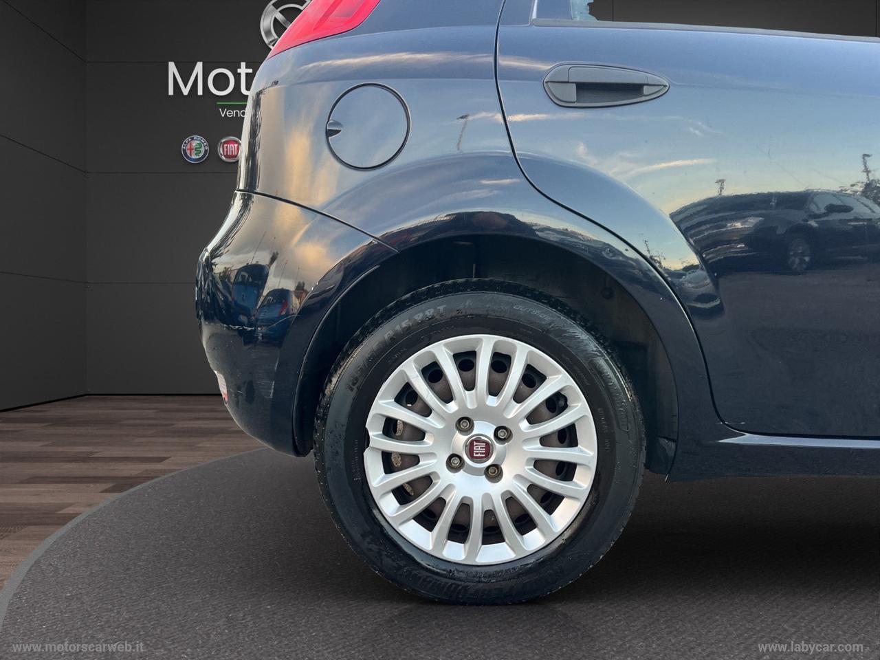 FIAT Punto 1.2 8V 5p. Street