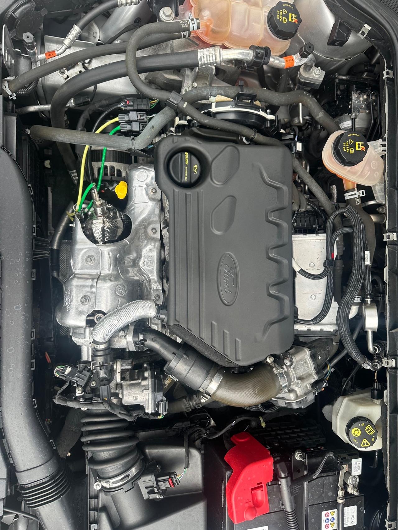 Ford FOCUS 1.5 DIESEL 2020 - TAGLIANDI CASA MADRE