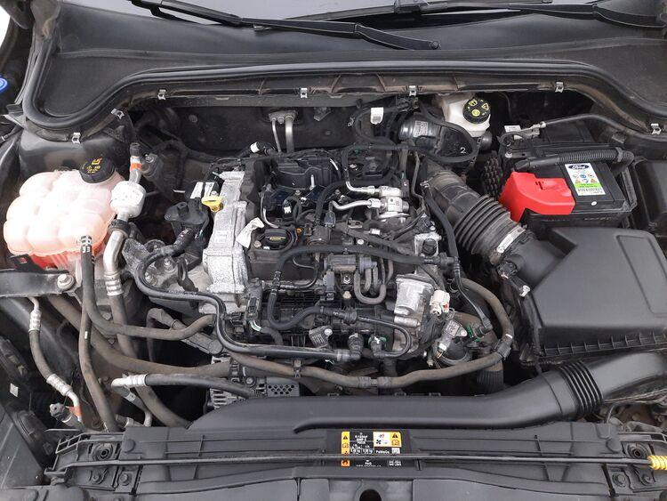 Ford Focus Hybrid ST-Line BR228844 1.0 Mild Hybrid 125CV