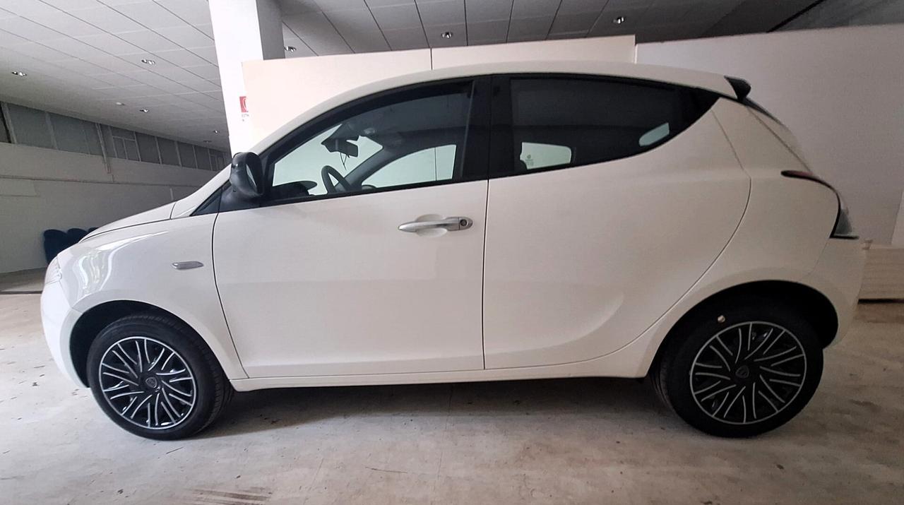 Lancia Ypsilon 1.0 FireFly 5 porte S&S Hybrid Oro n 101079