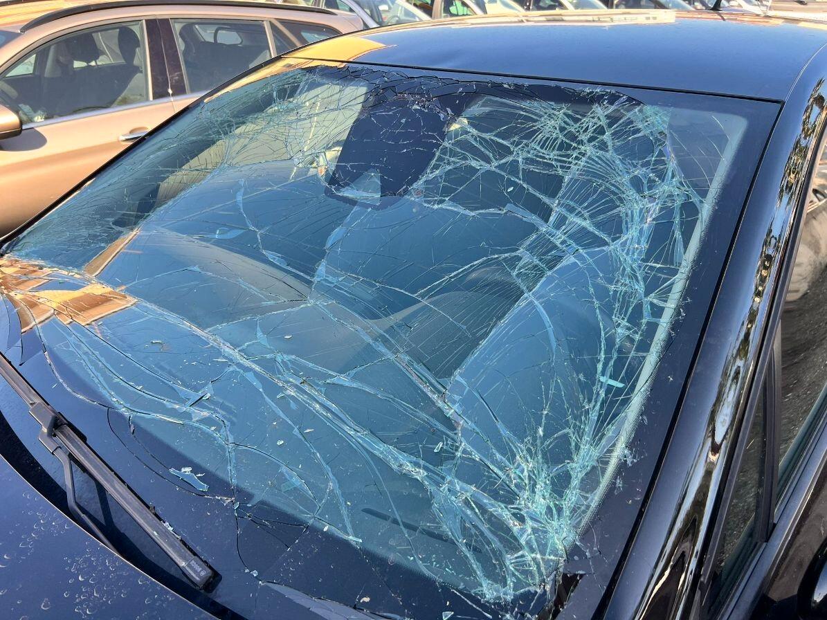 Renault Clio Blue dCi 85 CV 5 porte Intens